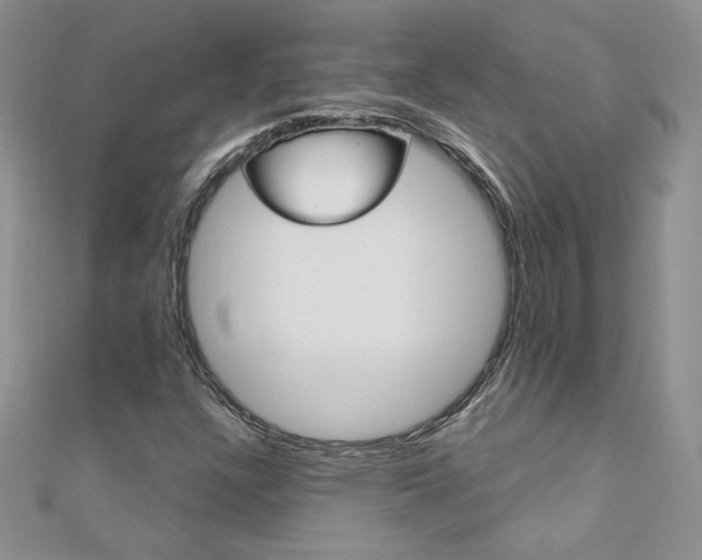 X0000110691304200906121047