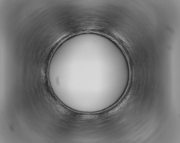 X0000110691305200906121047