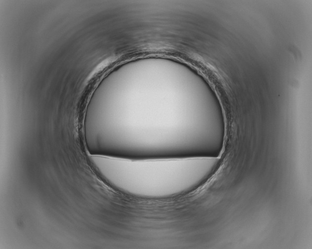 X0000110691306200906121047