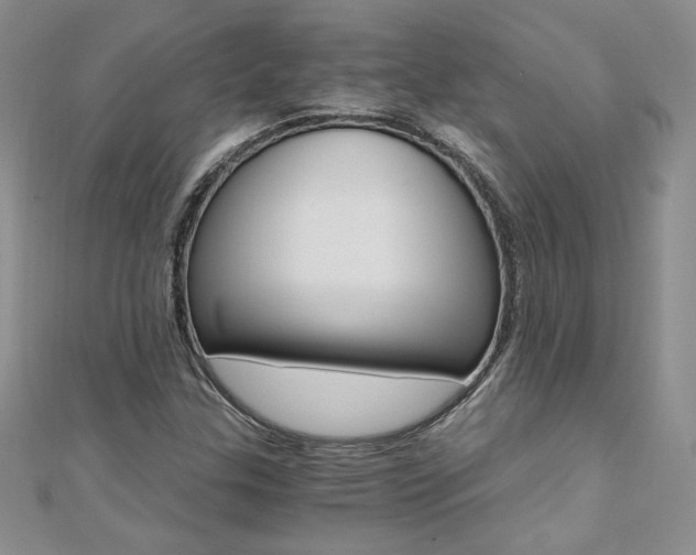 X0000110691307200906121047