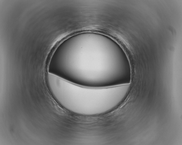 X0000110691308200906121047