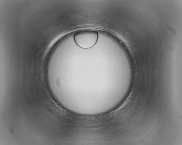 X0000110691310200906121047