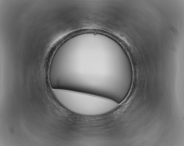 X0000110691311200906121047