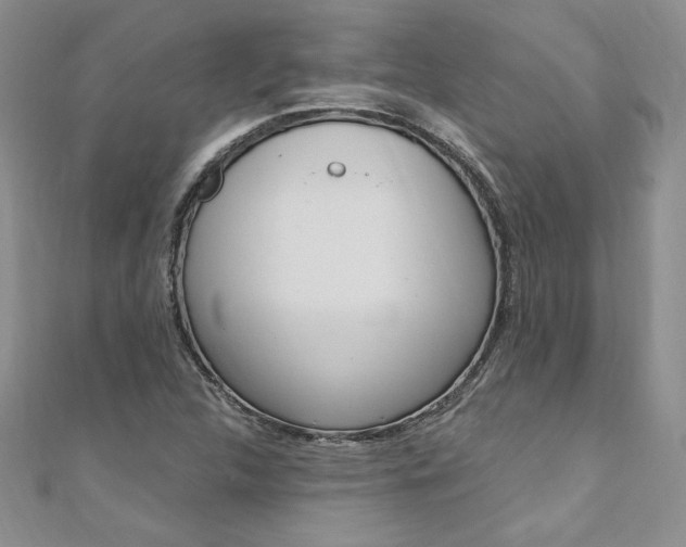 X0000110691312200906121047