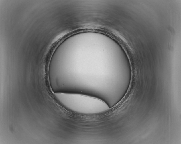 X0000110691315200906121047