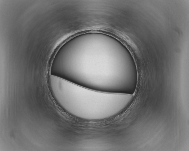X0000110691316200906121047