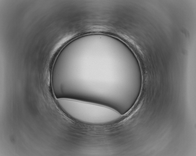 X0000110691317200906121047