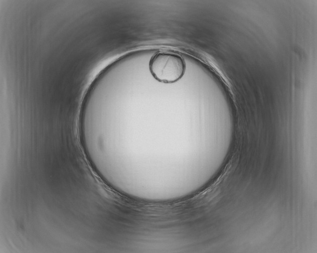 X0000110691320200906121047