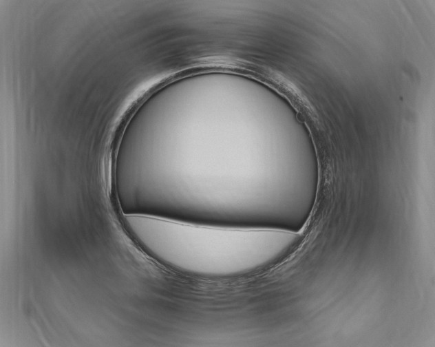 X0000110691323200906121047