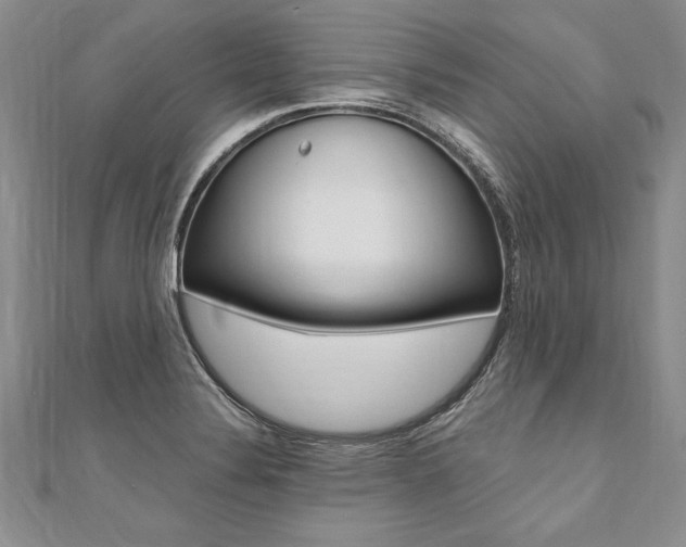X0000110691324200906121047