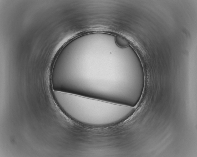 X0000110691325200906121047
