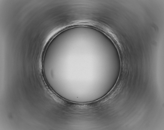 X0000110691328200906121047