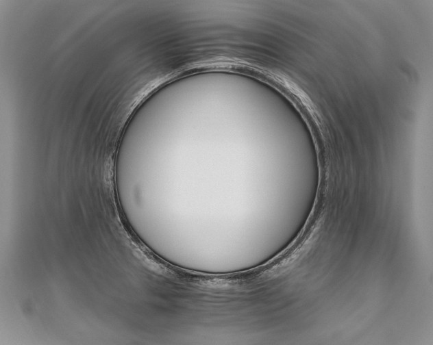 X0000110691329200906121047