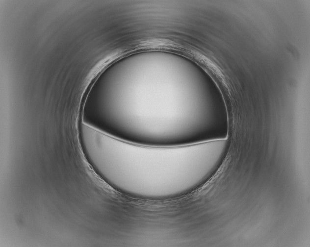 X0000110691330200906121047