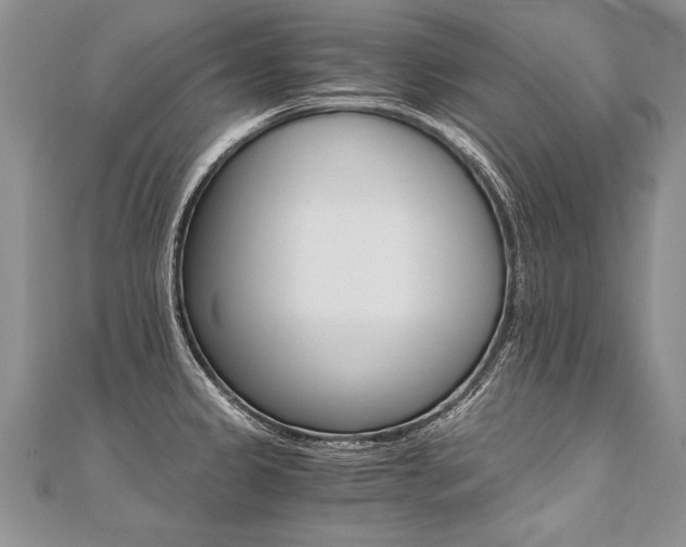 X0000110691333200906121048