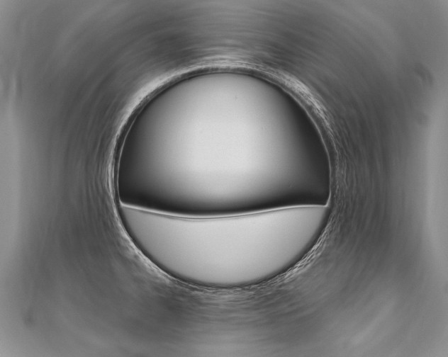 X0000110691334200906121048