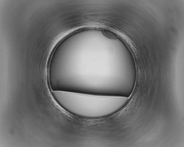 X0000110691335200906121048