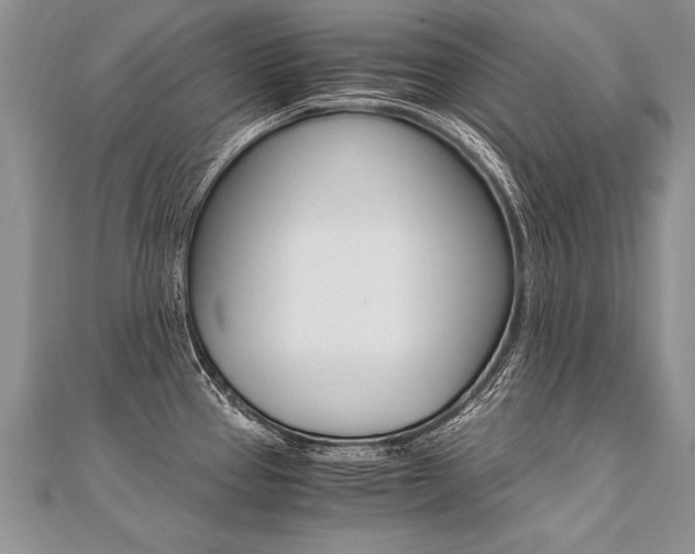 X0000110691337200906121048