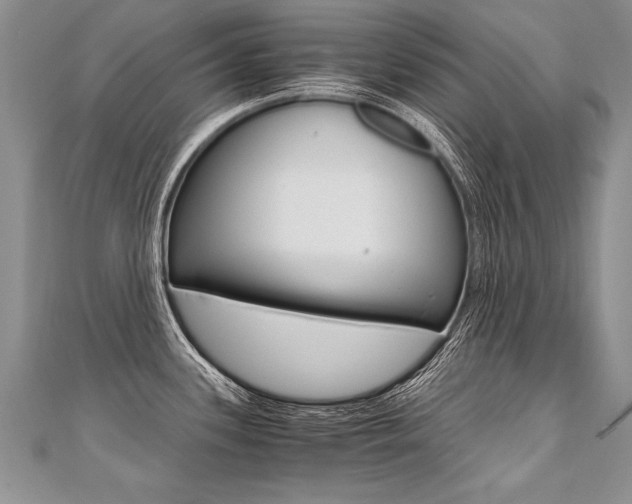 X0000110691339200906121048