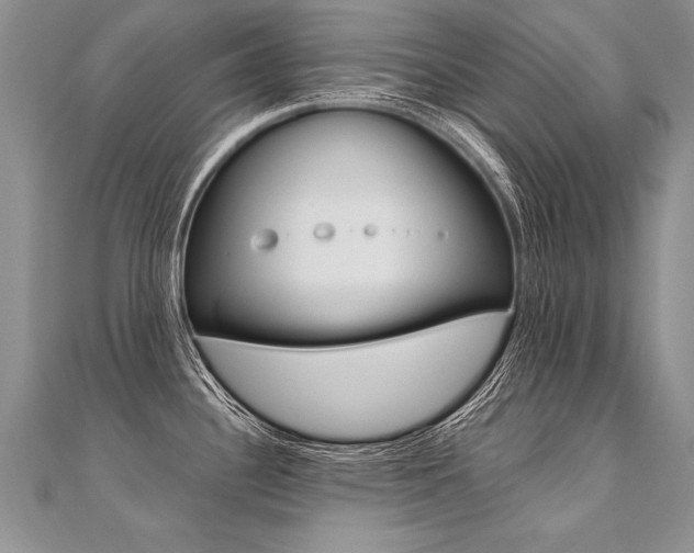 X0000110691340200906121048