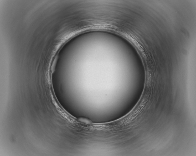 X0000110691342200906121048