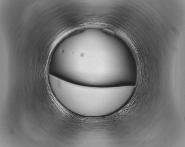 X0000110691344200906121048