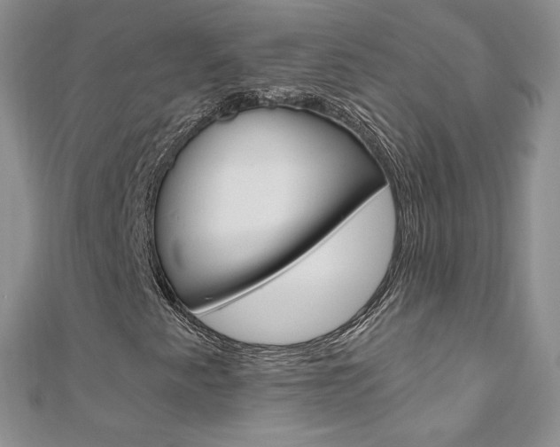 X0000110691345200906121047
