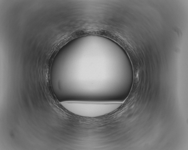 X0000110691348200906121047