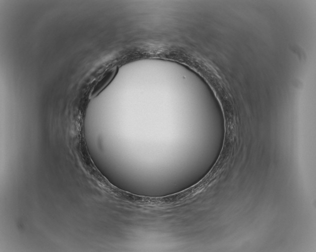 X0000110691349200906121047