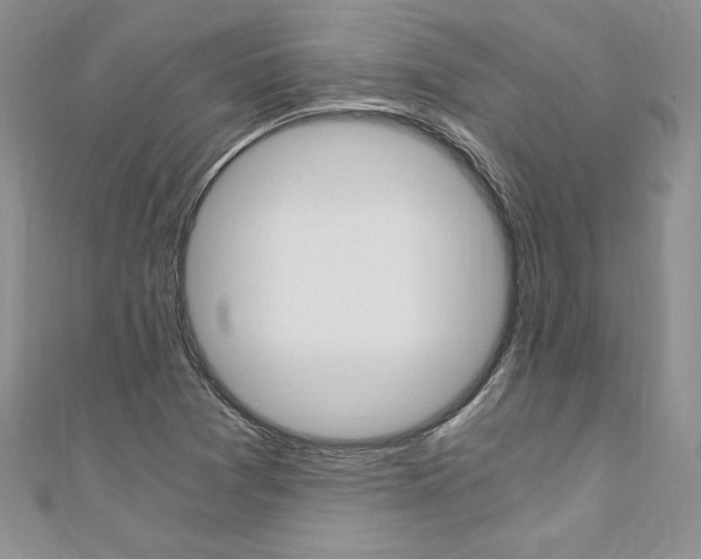 X0000110691361200906121047