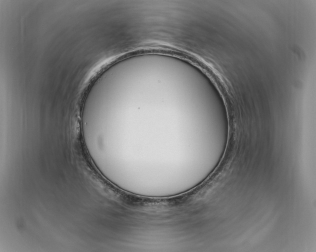X0000110691363200906121047