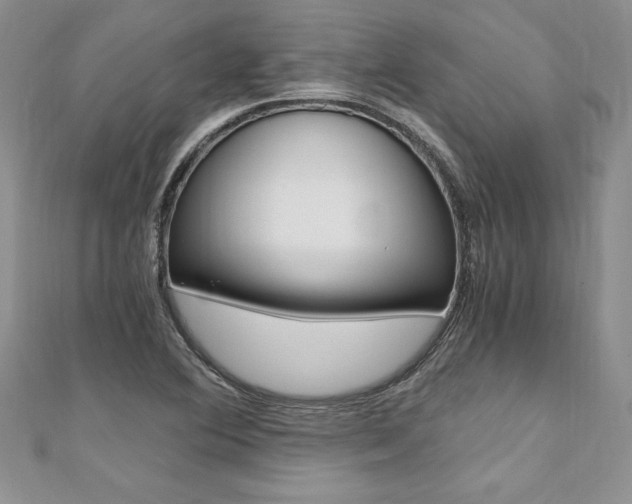 X0000110691364200906121047