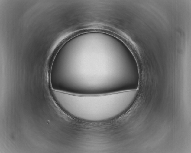 X0000110691368200906121047