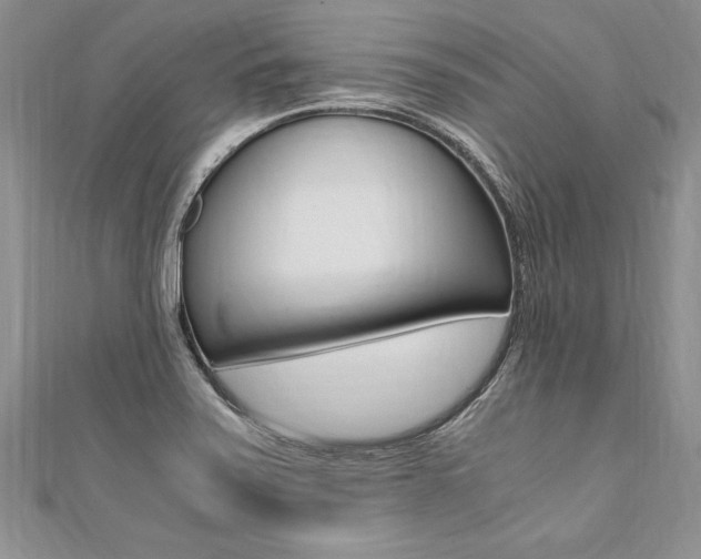 X0000110691371200906121047