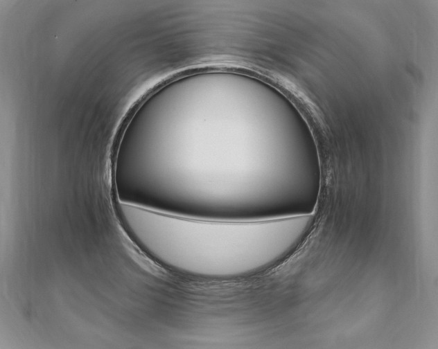 X0000110691372200906121047