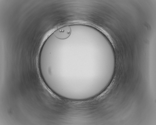 X0000110691373200906121047