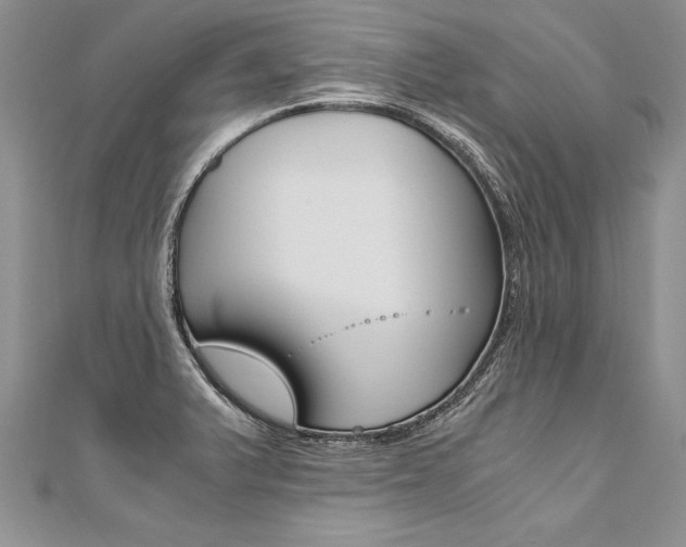 X0000110691375200906121047
