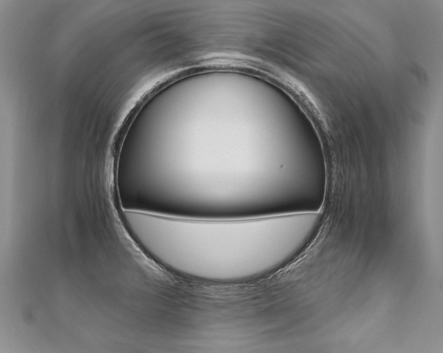 X0000110691376200906121047