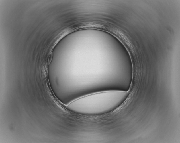 X0000110691377200906121047