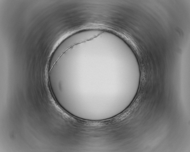 X0000110691382200906121047