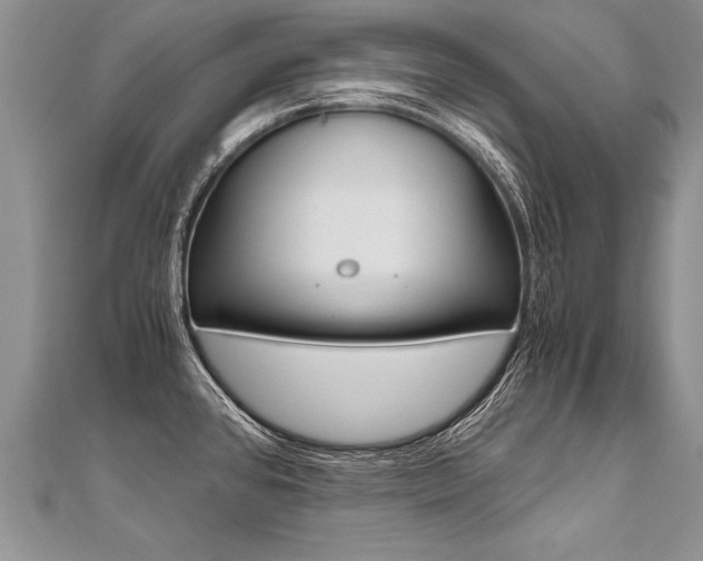 X0000110691384200906121047