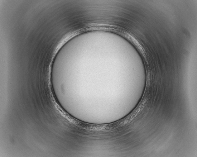 X0000110691386200906121047