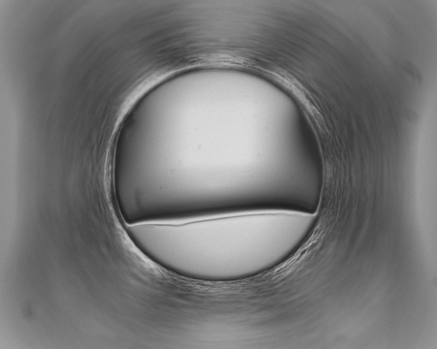 X0000110691387200906121046