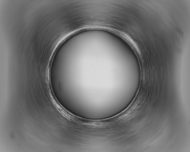 X0000110691388200906121046