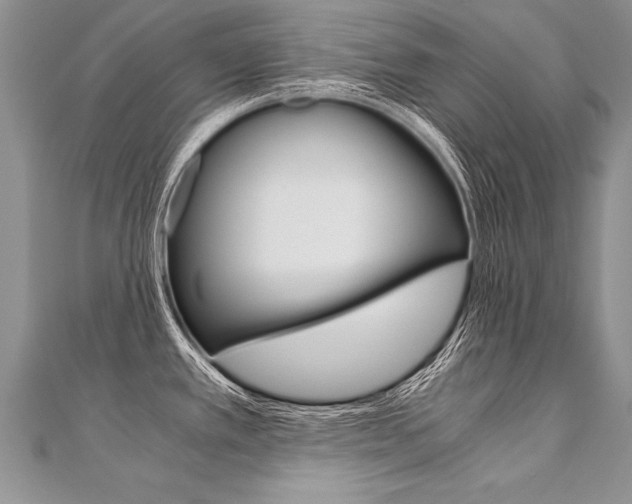 X0000110691389200906121046