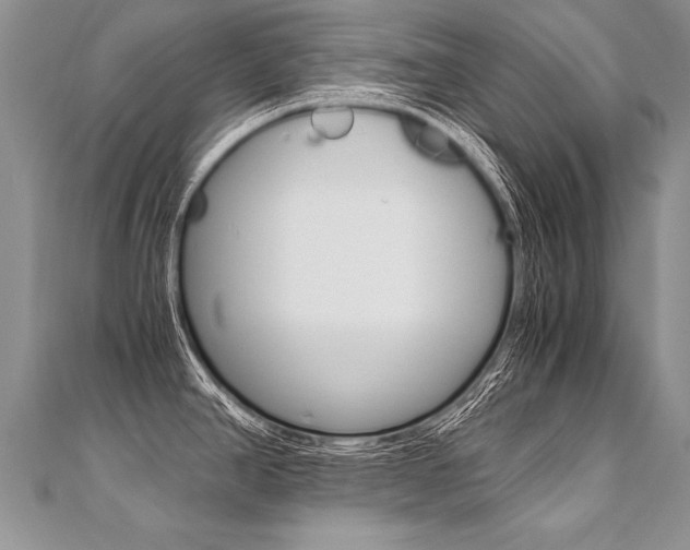 X0000110691390200906121046