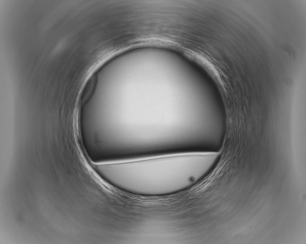 X0000110691391200906121046