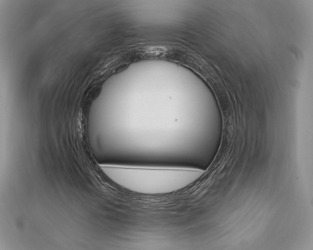 X0000110691394200906121046
