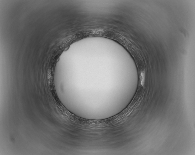 X0000110691395200906121046