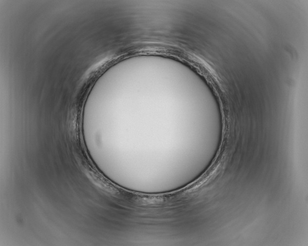 X0000110691403200906121046